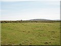 View inland towards Fferm Porth Gwylan farm