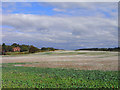 Farmland, Curridge