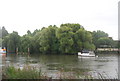 Riverside trees, Richmond