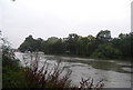 The River Thames at Richmond