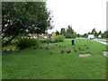 Ducks on Horsham Common (1)