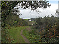 South West Coast Path near Pendower Court