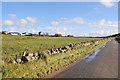 Minor road and farmland near Urchany