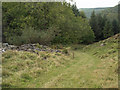 Bridleway, Pen-y-Castell, near Cymer