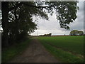 The track into Bennington Fen