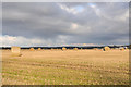 Freshly cut bales near Newton