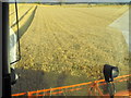 Combining at Aberbothrie