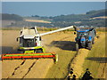 Combining at Aberbothrie