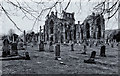 Abbey, graveyard and trees