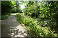 Footpath alongside Baydale Beck