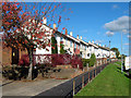 Buckland Road, Lingford, Taunton