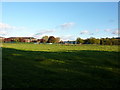 Pasture west side of Calderstones Hospital