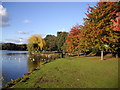 Roath Park, Cardiff, east bank of the lake