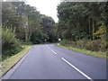 SJ8424 : Newport Road near Anne's Well Wood by Colin Pyle