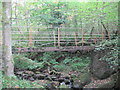 Footbridge over Farnalees Burn