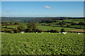 View over the Wye Valley