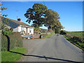 Heather Dene at Pentre Llifior