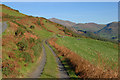 Track to Cwm-uchaf farm