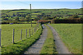 Track to Waun farm