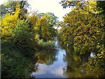 NS8594 : River Devon by Euan Nelson