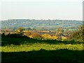 Field near Great Hinton