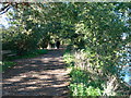 The Thames Path between Kew Bridge and Chiswick Bridge