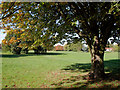 Bantock Park at Bradmore, Wolverhampton