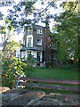 Flats on Mortlake High Street, glimpsed through the trees from the Thames Path