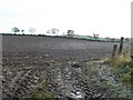 Ploughed field, Ballyweeny