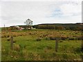 Corkey Townland