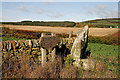 A standing stone on the northeast side of Earlston