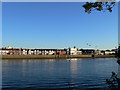 View across the Thames to Barnes