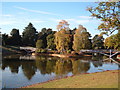 Bridges over the lake in Queen