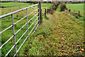 Track near Lambeg