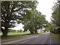 A38 near Waterloo Cross