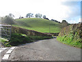 Lane to Llangyniew