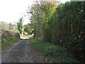 Lane approaching Henllan