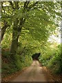 Lane near Lower Cross