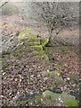 Wall footings, Dalton Bank