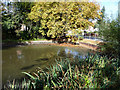 Pond on corner of Staithe Road, Sutton, Norfolk