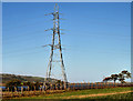 J4694 : Pylon and power lines near Ballystrudder, Islandmagee by Albert Bridge