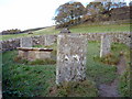 The Riley Graves, Eyam