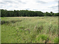 Market Weston Fen