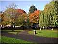 Autumn, Victoria Park, Cardiff