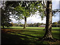 Blackweir playing fields, Bute Park, Cardiff