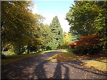 ST1776 : Sunny autumn day in Bute Park, Cardiff by John Lord