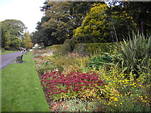 ST1776 : Late colour in the herbaceous border, Bute Park, Cardiff by John Lord