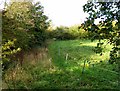 Footpath to Melton Mowbray