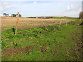 Stubble fields east of Reydon