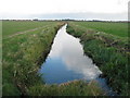 Drainage channel in Stourmouth Levels